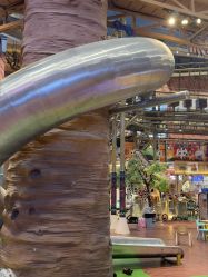 -卡通尼·Safari非洲探索乐园·生日会(金桥国际商业广场店)