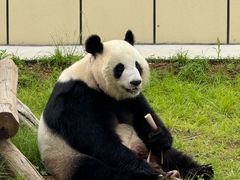 -秦皇岛野生动物园
