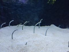-长沙海底世界