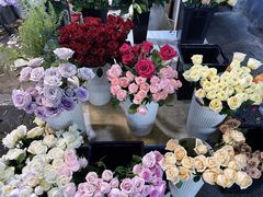 -循礼门鲜花花市(武汉循礼门店)