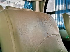 -上海虹桥客运西站