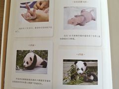 -杭州市萧山图书馆