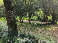 -东湖落雁景区