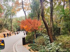 -岳麓山风景名胜区