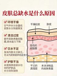 点击看大图 -玛莲朵·海菲秀冰珀科