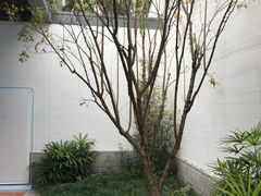 -筼筜书院