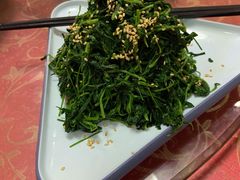 凉拌苜蓿-胡羊焖饼(敦煌店)