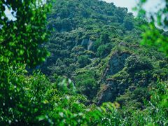 -阳台山自然风景区