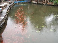 -竹泉村旅游度假区