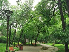 -元大都城垣遗址公园