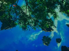 -厦门方特东方神画