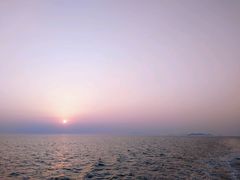 -长岛万鸟岛
