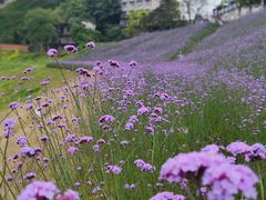 -石井坡(地铁站)
