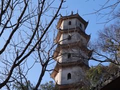 -江心屿景区