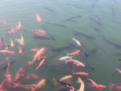 -威海华夏城景区