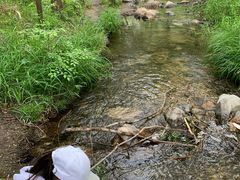 -碓臼峪自然风景区