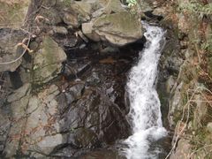 -藏龙百瀑风景区