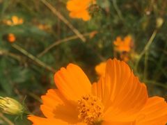 -福田红树林生态公园