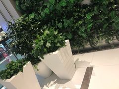 -远洋未来广场(育慧北路店)