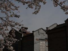 -静安雕塑公园