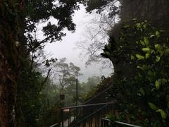 -七仙岭温泉国家森林公园