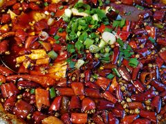 -青城甲(青城山店)