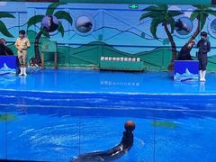 -石家庄极地海洋世界