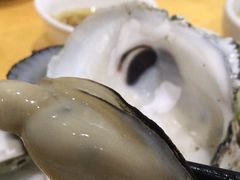 -蚝专家(北滘店)