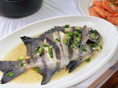 石鲷-阿军排档·烧烤