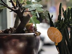 -Egg•Allday Brunch(襄阳北路店)