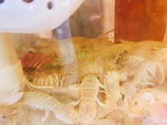 -美味海鲜大排档(明发美食地标店)