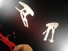 -中国科学技术馆影院