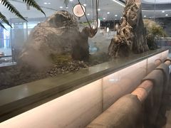 -赠李白·如诗的川味(余杭万达广场店)