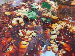 -重庆何乌鱼(南湖逸家店)