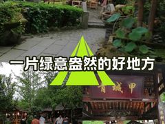 -青城甲(青城山店)