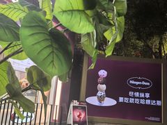 -哈根达斯(滨江店)