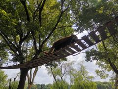 -上海野生动物园