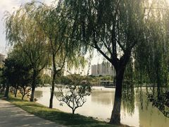 -桐乡植物园