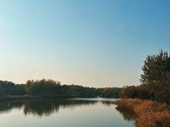 -大兴滨河森林公园