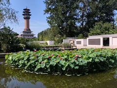 -廊坊市自然公园