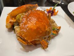 -新雅粤菜馆(南京东路店)