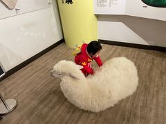 -正佳自然科学博物馆