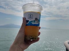-招商蛇口邮轮母港(观光客运)