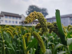 -北京古代建筑博物馆