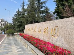 -铁山坪森林公园