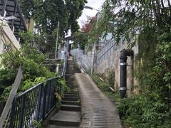 -南丫岛