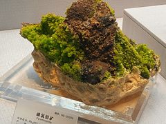 -湖南省地质博物馆
