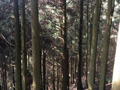 -井冈山风景名胜区-黄洋界