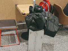 -麦当劳(北京大兴机场二层国内到达(安检外)店)