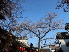 -乌镇景区